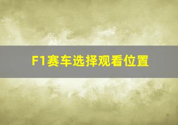 F1赛车选择观看位置