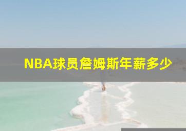 NBA球员詹姆斯年薪多少