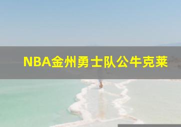 NBA金州勇士队公牛克莱