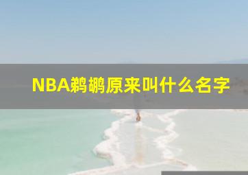 NBA鹈鹕原来叫什么名字