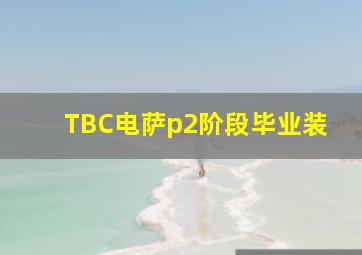 TBC电萨p2阶段毕业装