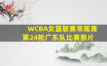 WCBA女篮联赛常规赛第24轮广东队比赛图片