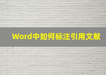 Word中如何标注引用文献