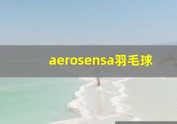 aerosensa羽毛球