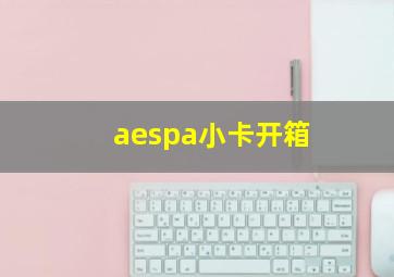 aespa小卡开箱