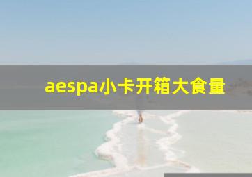 aespa小卡开箱大食量