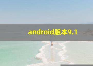 android版本9.1