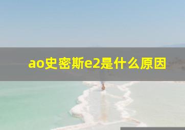 ao史密斯e2是什么原因