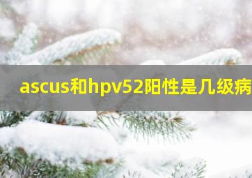 ascus和hpv52阳性是几级病变