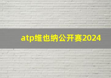 atp维也纳公开赛2024