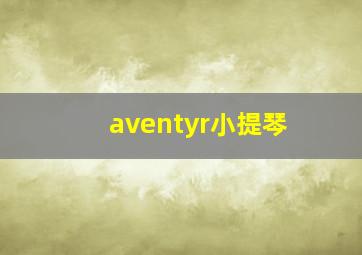 aventyr小提琴