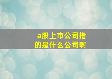 a股上市公司指的是什么公司啊