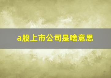 a股上市公司是啥意思