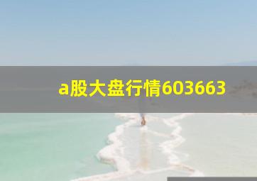 a股大盘行情603663