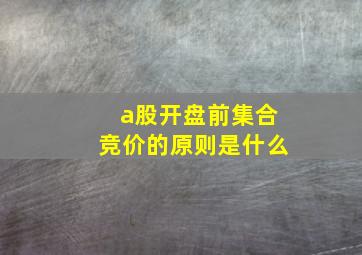 a股开盘前集合竞价的原则是什么