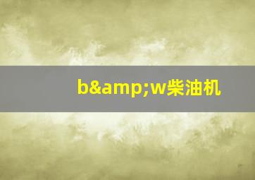 b&w柴油机