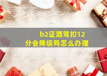 b2证酒驾扣12分会降级吗怎么办理