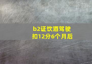 b2证饮酒驾驶扣12分6个月后