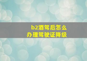 b2酒驾后怎么办理驾驶证降级