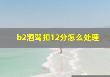 b2酒驾扣12分怎么处理