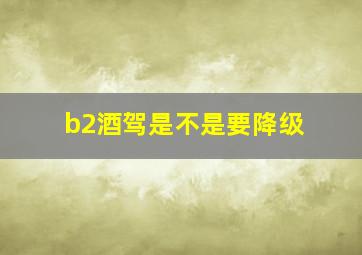 b2酒驾是不是要降级