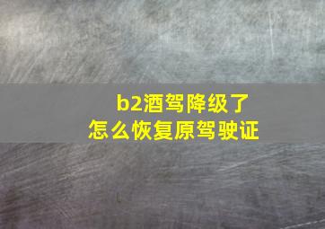 b2酒驾降级了怎么恢复原驾驶证