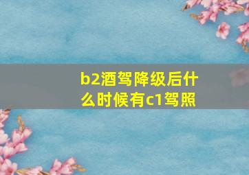 b2酒驾降级后什么时候有c1驾照