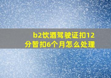 b2饮酒驾驶证扣12分暂扣6个月怎么处理