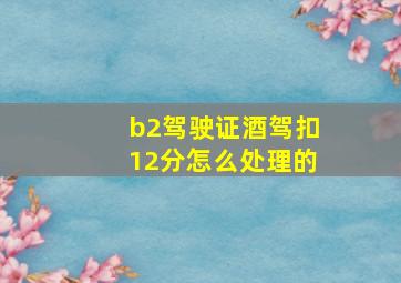 b2驾驶证酒驾扣12分怎么处理的