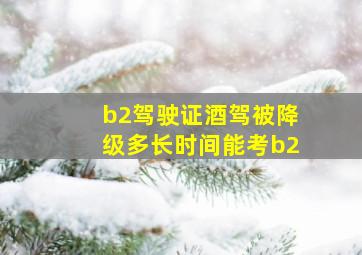 b2驾驶证酒驾被降级多长时间能考b2