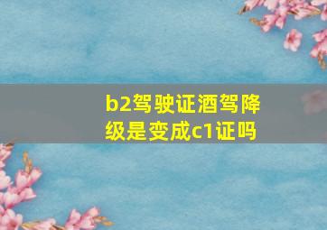 b2驾驶证酒驾降级是变成c1证吗