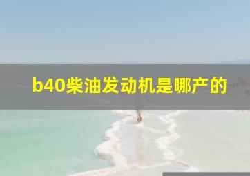 b40柴油发动机是哪产的