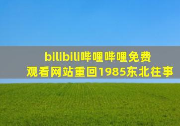 bilibili哔哩哔哩免费观看网站重回1985东北往事