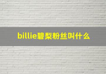 billie碧梨粉丝叫什么