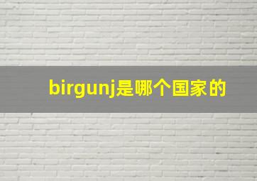 birgunj是哪个国家的