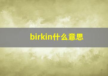 birkin什么意思