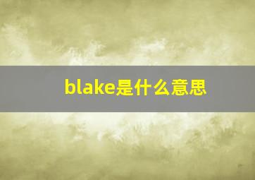 blake是什么意思