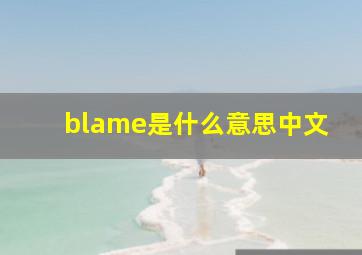 blame是什么意思中文