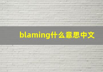 blaming什么意思中文