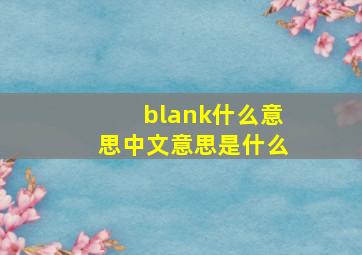 blank什么意思中文意思是什么