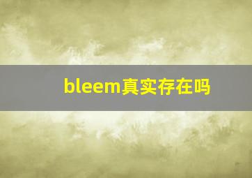 bleem真实存在吗