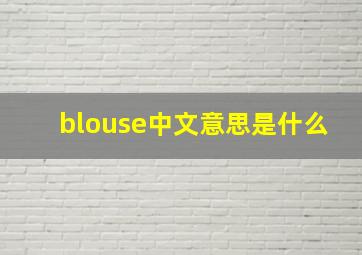 blouse中文意思是什么