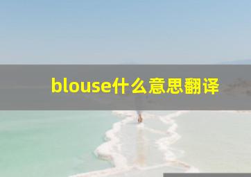 blouse什么意思翻译