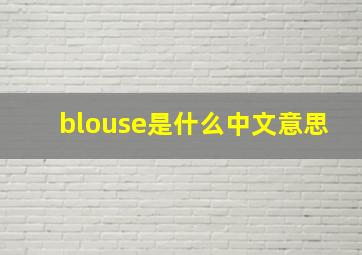 blouse是什么中文意思