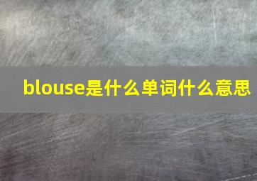 blouse是什么单词什么意思