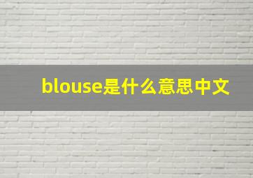 blouse是什么意思中文