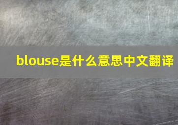 blouse是什么意思中文翻译