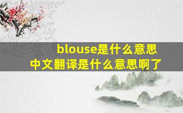 blouse是什么意思中文翻译是什么意思啊了