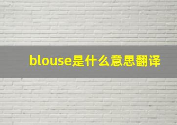 blouse是什么意思翻译