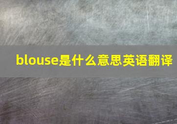 blouse是什么意思英语翻译